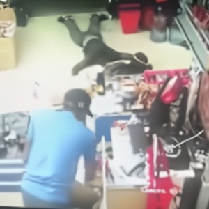 loot up (feat. scarlet & genc471) (Explicit)