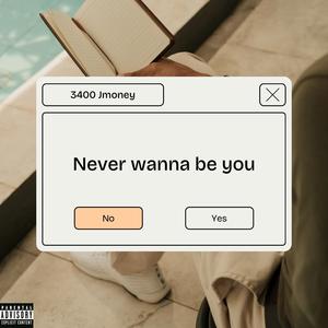 Never Wanna Be You