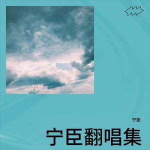 独醉街头 (Live) - 宁臣封面
