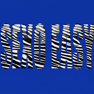 SEXO EASY (Explicit)