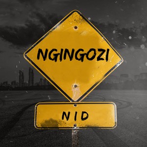 NgiNgozi