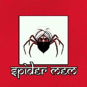 Spider Mem