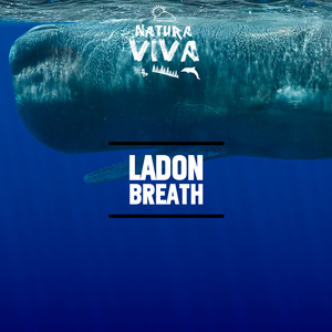 Breath