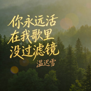 你永远活在我歌里没过滤镜 (女声版)