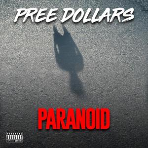 Paranoid (feat. Flamezdabeast) (Explicit)