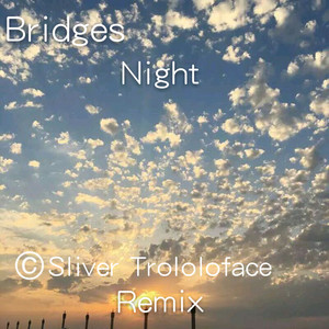 Bridges - Night (Sliver Trololoface Remix)