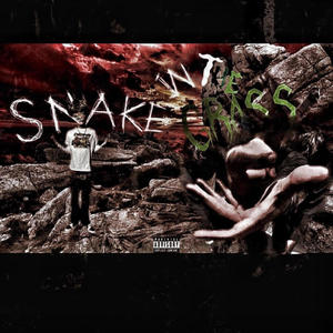 Snake In The Grass (Explicit)