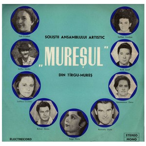 Soliştii ansamblului artistic Mureşul din Târgu - Mureş