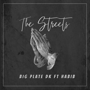 The Streets (feat. OMF Habib) (Explicit)
