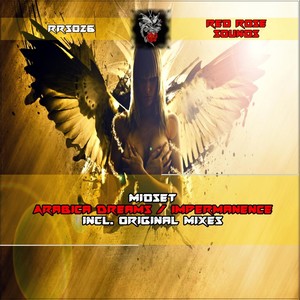 Impermanence (Original Mix)