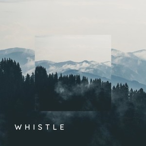 Whistle