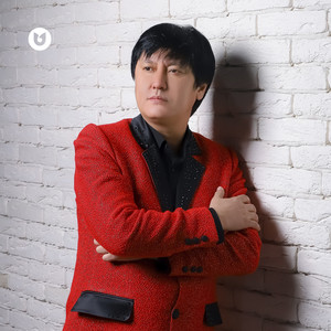 Аралдағы жеңеше-ай