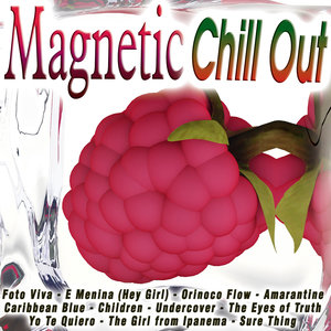 Magnetic Chill Out