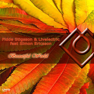 Beautiful World (Radio Edit)