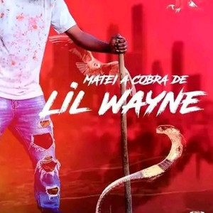 Matei A Cobra De Lil Weyne (Explicit)