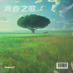 青春梦想的力量