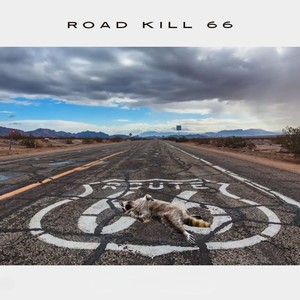 Road Kill 66