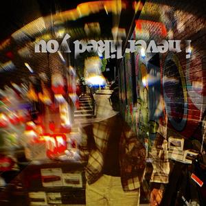 i never liked you (Explicit)