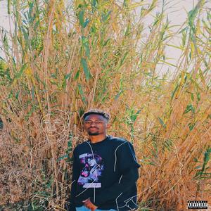 Jiggy Jiggy (Explicit)