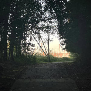 where the willow is (Explicit)