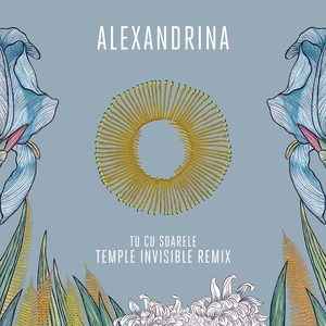 Tu Cu Soarele (Temple Invisible Remix)