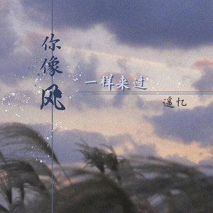 你像风一样来过