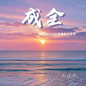 成全（我对你付出的青春这么多年）