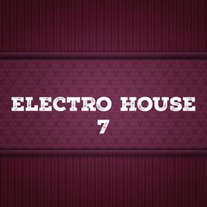 Electro House, Vol. 7