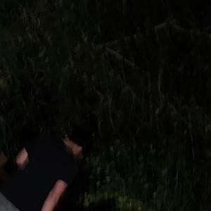 date night (Explicit)