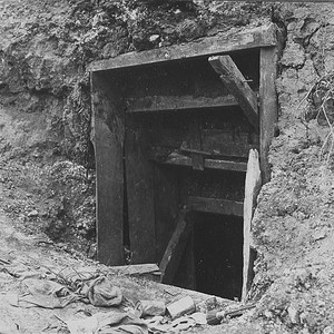 You Will Never Suffer Again