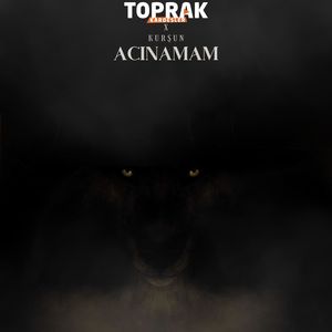 Acınamam