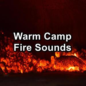 Loopable Fireplaces Music