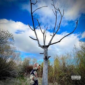 Fiji (feat. Luey Guapo Aka Chosen1) (Explicit)