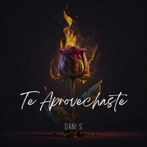 Te Aprovechaste