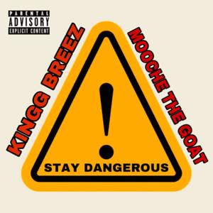 Stay Dangerous (Explicit)