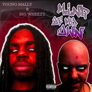 Regenerate (feat. Big Wheezy) (Explicit)