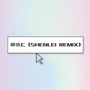 都选C (DJ SHENLEI Bootleg)
