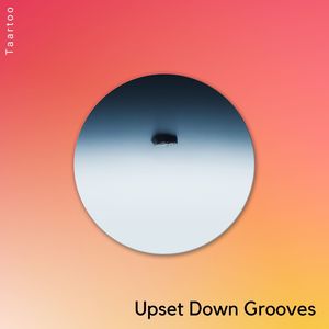 Upset Down Grooves (Original Mix)