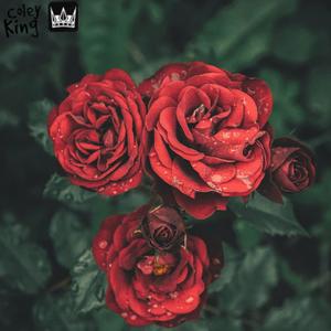 Feelings i have for you