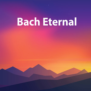 Roberto Michelucci - Violin Concerto No.2 In E, BWV 1042 - J.S. Bach: Violin Concerto No.2 In E, BWV 1042 - 3. Allegro assai