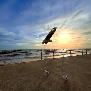 Landing