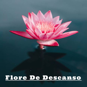 Flore De Descanso