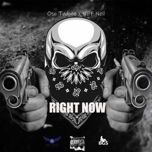 Right Now(feat. NBF Neil) (Explicit)
