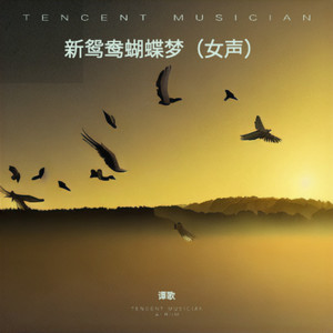 谭歌 - 新鸳鸯蝴蝶梦