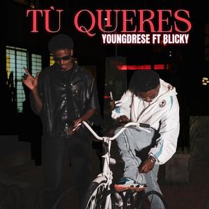 Tu Quieres (Explicit)