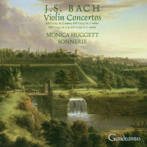 Concerto for Violin and Strings in D Minor - I. Allegro (第一乐章，快板)