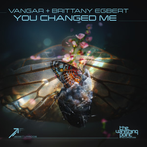 You Changed Me (Extended Mix)