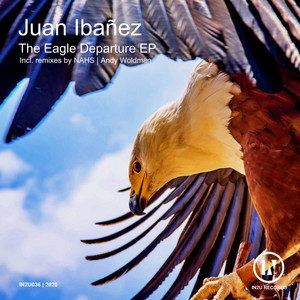 The Eagle Departure (NAHS Remix)