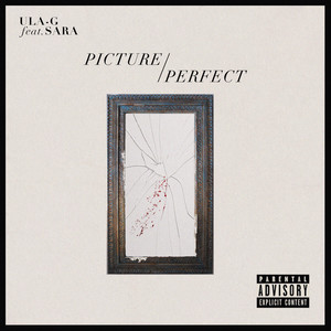 Picture Perfect (Explicit)