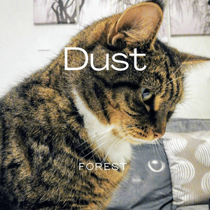 Dust